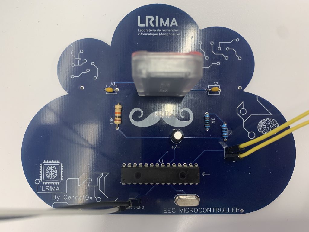 ALIVE Mind Controller (AMC): OUR new micro-controller made LRIMa